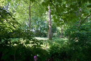 Grounds- click for photo gallery